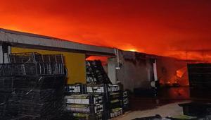 Antalyada muz paketleme ve sarartma tesisinde yangın