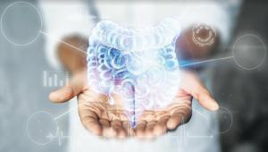 Sağlığın şifresi bağırsaklarda gizli