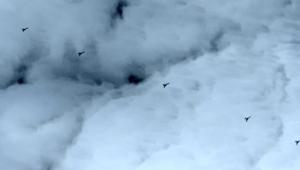 Baykar’dan yeni güç: K2 Kamikaze İHA sürü halinde uçtu