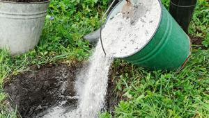 Mart ayında bahçeye kül serpen kazanıyor Toprağı canlandıran yöntem