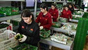 Türkiyeden Rusyaya sebze ihracatı arttı