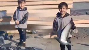 Güvercinleri besledi, can verdi Baba olay gününü anlattı: Ben aileme nasıl bakacağım