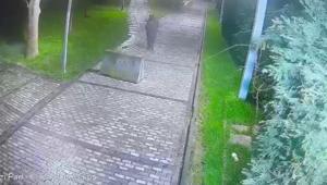 Parkta bulduğu telefonu cebine attı Kameraya yakalandı