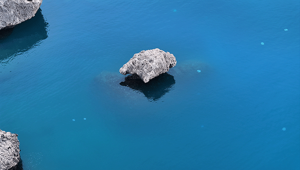 Antalya kıyılarında sürüler halinde ortaya çıktı Vatandaşlara uzak durun uyarısı