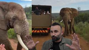 Sakın dokunmayın uyarısına aldırmayan Türk turistler kabusu yaşadı 5 tonluk fil saldırıya geçti