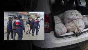 Yakalanmasalardı vatandaşa yedireceklerdi İstanbul’da kilolarca at eti ele geçirildi