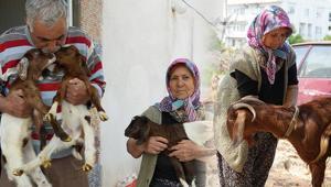 Yardım ettiği komşusu şikayet etti Bütün mahalleyi yakan karar: Bir senelik emeği boşuna gitti