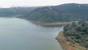 4 gün bahar yağmuru