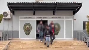 17 ilde dev dolandırıcılık operasyonu: 180 şüpheli yakalandı