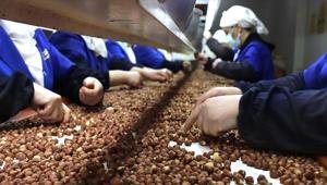 Kadın çalışanlar ihracata en fazla katkıyı Giresundan sağladı