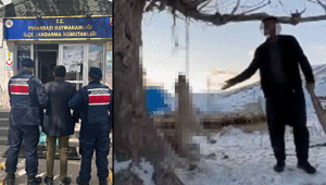 Kayseride akılalmaz görüntü Böyle köpek mi öldürülür