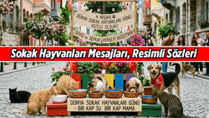 Sokak Hayvanları Mesajları, Resimli Sözleri 4 Nisan Dünya Sokak Hayvanları Günü mesajı ve sözü