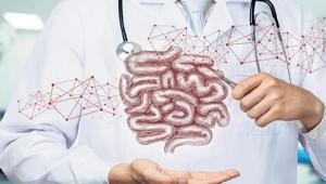 Bağırsaklarınız hayatınızı kurtarabilir