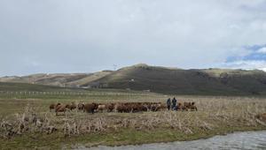 120 bin TL maaşla çalışacak eleman yok Zor ve emek isteyen bir iş, kimse yapmak istemiyor