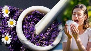 Bahar alerjisinden kurtaran doğal yöntemler Burnu rahatlatıyor: Günde 2 kez için