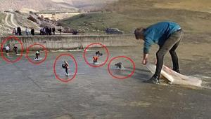 Eline çuvalı alan koştu Toplamak için birbirleriyle yarıştılar: Bu sene bereketli