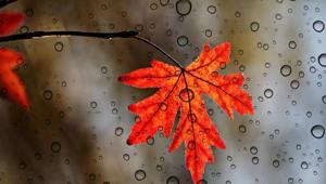 İSTANBUL HAVA DURUMU SON DAKİKA: 8 Nisan Bugün hava nasıl, yağış var mı Yağışlar kaç gün sürecek Meteoroloji son dakika hava durumu