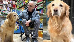 Yıllarca titredi, çaresi yok dediler Bakın sahibi nasıl iyileştirdi