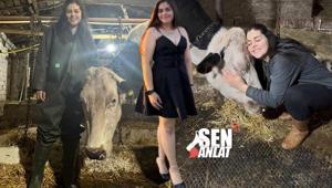 18inde cesaret etti, kendi işini kurdu Ahır kiralayıp 2 hayvanla başladı, sayıyı 13e çıkardı