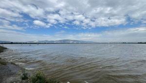 Büyük Menderes taştı 65 bin dönüm tarım arazisi sular altında