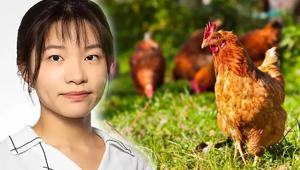 Psikoloji profesörü terapisti olarak tavuğu seçti O benim duygularımı anlıyor