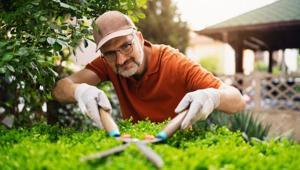 Bahar aylarında bahçeyi cennete çeviren taktik Yabani çiçekler önemliymiş