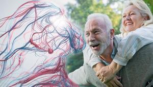 Uzun yaşamın sırrı: Sağlıklı damarlarda En küçük tıkanıklık bile risk