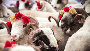 Kurban Bayramı 2026 tarihleri ne zaman, hangi günlere denk geliyor Kurban Bayramı tatili kaç gün olacak, 9 gün mü