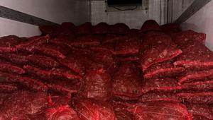 10 tonluk tehlike Sofralara gidecekti, son anda yakalandı