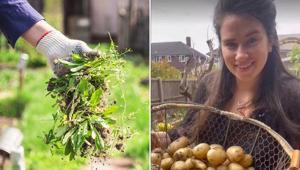 Nisan ayında diken yazın rahat edecek Bir tane salyangoz kalmıyor