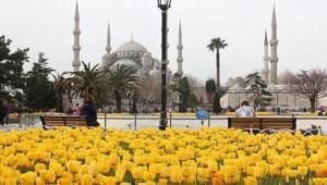 İstanbul Lale Festivali başladı 2026 İstanbul Lale Festivali ne zaman İstanbul Lale Festivali nerede yapılacak