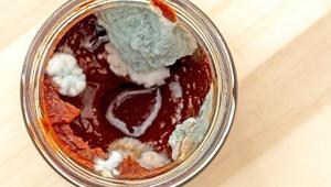 Domates salçası bu yöntemle küflenmiyor Can suyu zeytinyağındaymış, havaya temas etmiyor