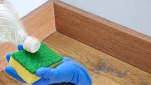 Süpürgelikte biriken kirin düşmanı sirkeymiş 2 dakikada hazırlanan karışım yıllarca koruyor