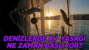 Balıklara av yasağı ne zaman başlıyor Denizlerde balık yasağı dönemi ne zaman bitecek 2026