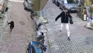 3. kattaki daireye örümcek adam gibi tırmandı Servet çalıp kaçtı