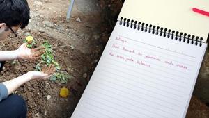 Okul saldırısında hayatlarını kaybeden öğrencilerin mezarına bırakıldı Dikkat çeken not