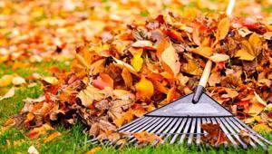 10 derece ve 3 gün kuralı: Çim bakımında uzmanların altın formülü