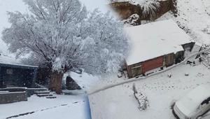 Görüntüler bu sabah çekildi Nisan sonu kar sürprizi: Herhalde bu yıl yaz gelmeyecek