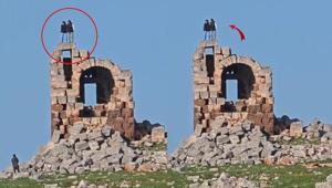 Nemrut’un Tahtı olarak bilinen kalıntılarda zıplayarak halay çektiler Tepki çeken görüntüler