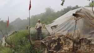 Dağda tek başına 12 yıl: Ailem oldukça varlıklıydı