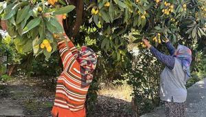 Antalya’da dikkat çeken olay Kimse almayınca tonlarca meyveyi ücretsiz dağıttı: Poşetini alan bahçeye koştu