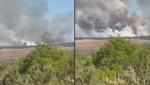 Beykozda orman yangını 50 dönümlük meşelik alan zarar gördü