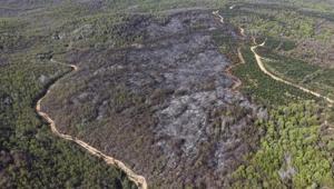 9 saatlik kabus: Beykoz’daki yangının bilançosu ağır oldu