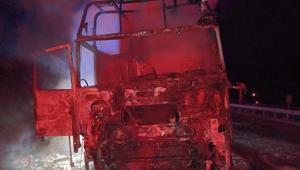 Samsunda seyir halindeki ahşap yüklü tır yandı