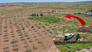 Türkiyedeki büyük gizem Japonlar kazmak için geliyor: Ne kadar sürerse sürsün