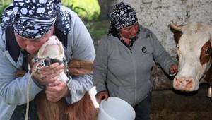 Gürcistan’dan Erzincan’a gelin geldi Türkçeyi öğrendi, hayvancılığa başladı