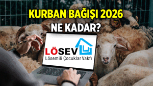 İŞTE HİSSE BEDELİ 📍 Online Lösev Kurban bağışı nasıl yapılır 2026 Lösev Kurban Bağışı ne kadar