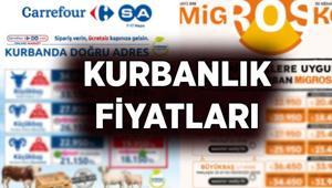 KURBANLIK FİYATLARI Migros, CarrefourSA, Biçen: Marketlerde kurbanlık fiyatları ne kadar 2026 Migros, Carrefour büyükbaş, küçükbaş kurbanlık fiyatları