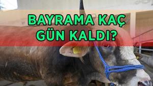 KURBAN BAYRAMI BAŞLANGIÇ VE BİTİŞ TARİHİ 2026: Bayrama kaç gün kaldı 2026 Kurban Bayramı ne zaman, hangi gün