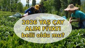 YAŞ ÇAY ALIM FİYATI 2026 📍 Yaş çay alım fiyatı açıklandı mı, ne zaman açıklanacak Yaş çay kilogram alım fiyatı belli oldu mu